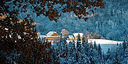 冬天,太陽,雪