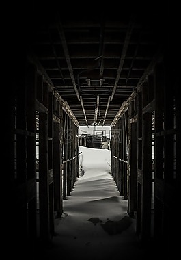 橋,碼頭,木