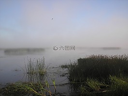 河,霧,海灘