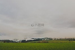農(nóng)村,字段,草