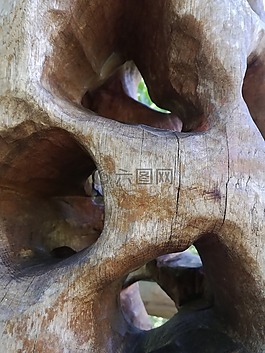 樹,孔,性質(zhì)