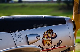 狗,飛機,機場