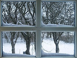 窗口,晶格 windows,弗羅斯特
