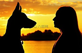 杜賓,女子,剪影