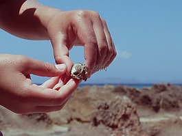 手,手壳,海