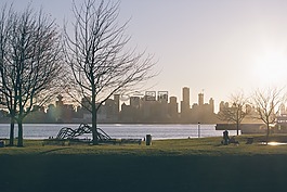 日出,公園,草