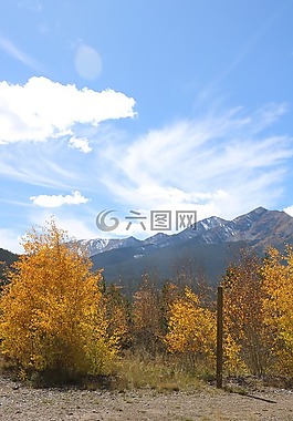 秋,秋天,布什