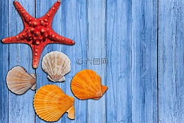 假期,夏季,太阳