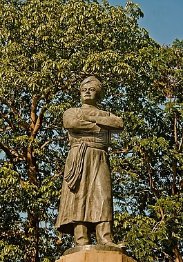 斯瓦米 · vivekanand,雕像,印度