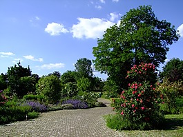 植物園,杜塞爾多夫,花園