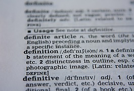 定義,字,字典
