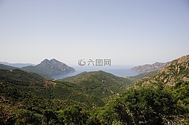 查看,海岸,岸