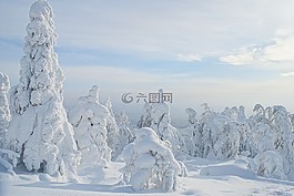 冬季,俄羅斯,雪