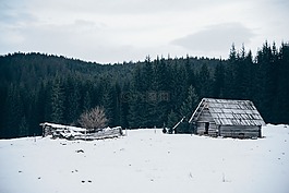 小屋,棚,冬天