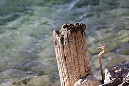 對(duì)接,瓦爾興湖,水