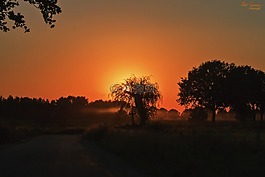 日落,太陽,橙色