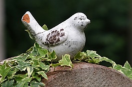 鳥,沉思,數(shù)字