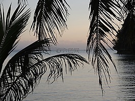 海洋,天堂,夏天