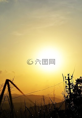 太陽落山,植物,自然