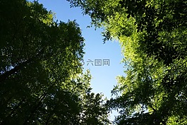 landgrave 峡谷,瓦尔特堡,爱森纳赫