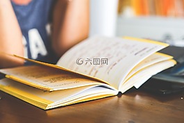 女孩,女子,女性