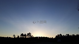 日出,樹,秋天