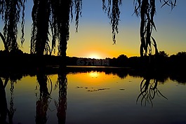 公園,日落,華麗