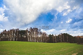 原野,绿色,景观
