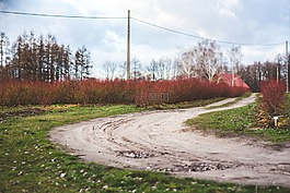 路,國(guó)家,農(nóng)村