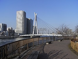 月岛走,海滨,冬天
