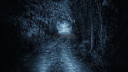自然,路,神秘