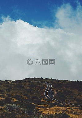 景觀,路,公路