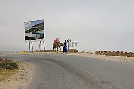 出租車,駱駝,道路