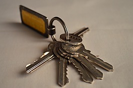 串鑰匙,鍵,關(guān)鍵 fob