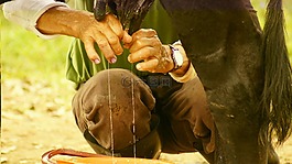性質(zhì),的,印度