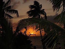 加勒比海,日落,夏天