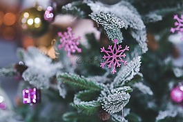 圣誕節(jié),樹(shù),雪花