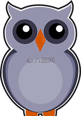 猫头鹰,灰色,鸟