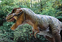 恐龍,tyranosaurus,雕塑