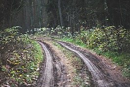路,方式,路徑