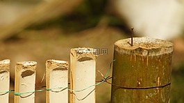 性質(zhì),的,印度