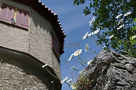 城堡,中世紀(jì),歷史