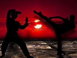 武術(shù),silhuetten,泰拳