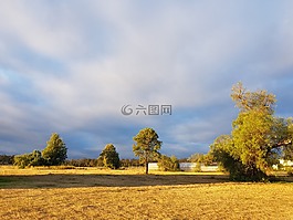 香光大佛寺,澳洲,佛堂