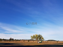 香光大佛寺,澳洲,佛堂