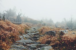 景观,路径,方式