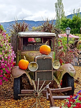 卡車(chē),南瓜,鮮花