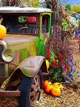 卡車(chē),南瓜,鮮花