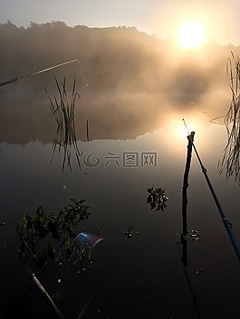 釣魚,日出,性質