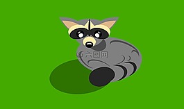 浣熊,動物,插圖